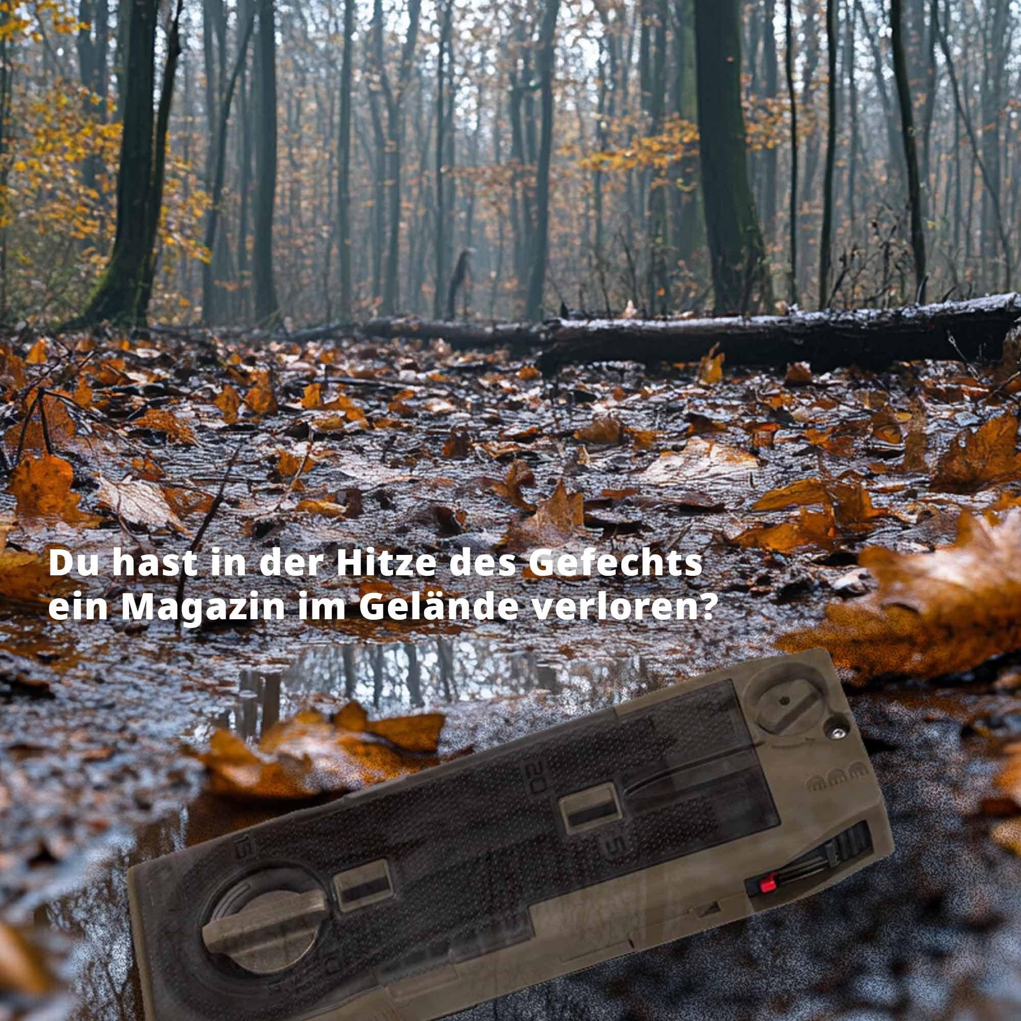 Magazin Lasering Pflanzenwuchs, Wald, Blatt, Fotografie, Grove